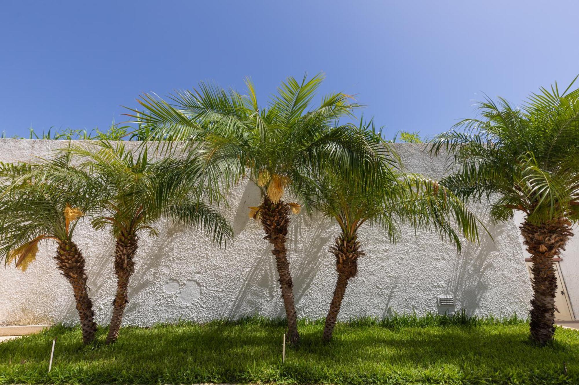 Villa Kore, Capo Vaticano Buitenkant foto